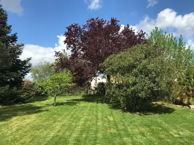 Jardin de l'établissement Maison contemporaine au calme avec jardin arboré