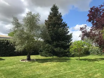 Jardin de l'établissement Maison contemporaine au calme avec jardin arboré