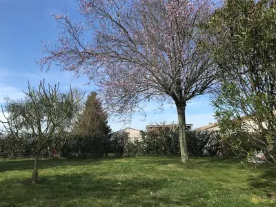 Jardin de l'établissement Maison contemporaine au calme avec jardin arboré