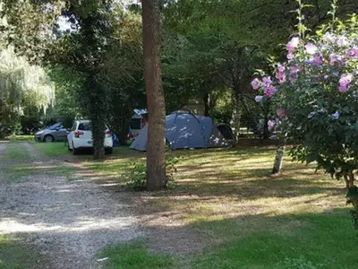 Jardin de l'établissement Mobil-home cosy 4 pers avec terrasse - API-1-52-750