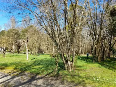 Paysage naturel près de le camping