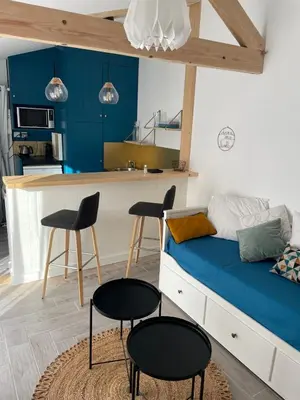 Cuisine ou kitchenette dans l'établissement Studio charmant