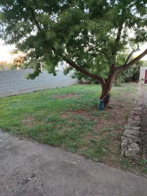 Jardin de l'établissement Chez Pam et David