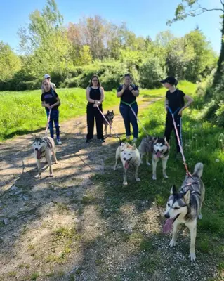Animal ou animaux domestique(s) séjournant avec des clients dans l'établissement Studio mezzanine chez des mushers