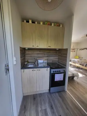Cuisine ou kitchenette dans l'établissement La Cabane