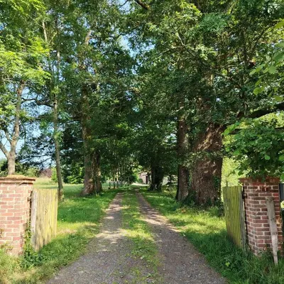 Jardin de l'établissement La Glane at Le Maingaud