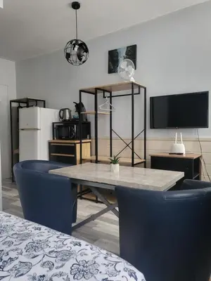 Cuisine ou kitchenette dans l'établissement Studio non fumeur en rez-de-chaussée