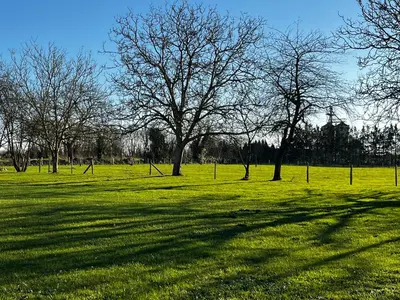 Jardin de l'établissement Gîte Le Ptit Poirier