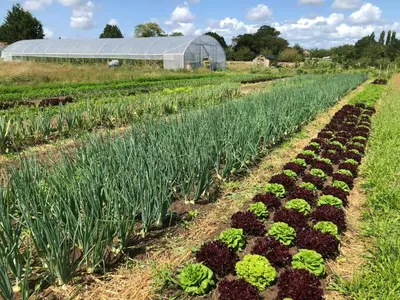 Jardin de l'établissement Restored Farm Near La Rochelle