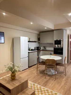 Cuisine ou kitchenette dans l'établissement L'Olivier - appartement cozy au centre de Poitiers