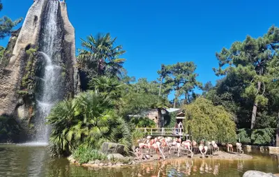 Plan de l'établissement Appartement Proche Plage