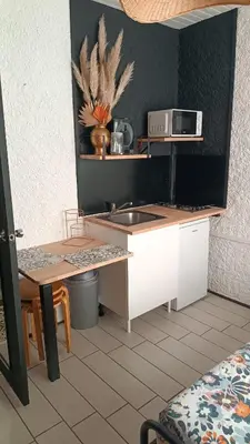 Cuisine ou kitchenette dans l'établissement Le WORLD, studio 3 minutes from Futuroscope