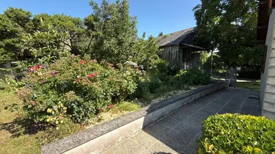 Jardin de l'établissement Les rosiers