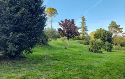 Jardin de l'établissement Gorgeous Home In Dompierre-Sur-Charente