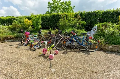 Vélo sur le terrain de l'établissement Maison 15p piscine chauffé terrain de pétanque ou dans les environs