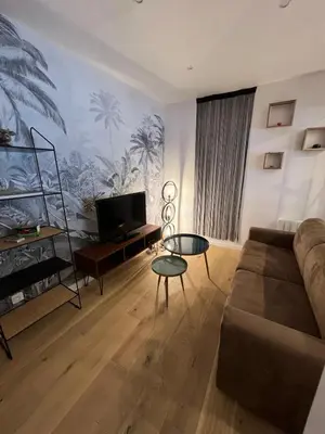 Télévision ou salle de divertissement dans l'établissement Le 49 Carnot Plein cœur de Poitiers