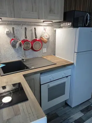 Cuisine ou kitchenette dans l'établissement Studio Fontaine