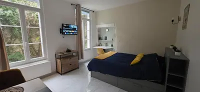 Télévision ou salle de divertissement dans l'établissement Studio Cosy entièrement rénové - Centre Historique