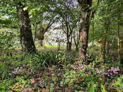 Jardin de l'établissement L'envol