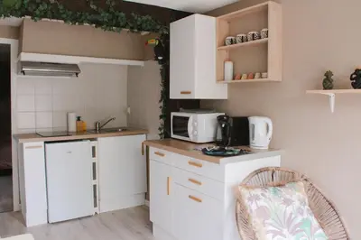 Cuisine ou kitchenette dans l'établissement Appartement Jungle Cosy - Bureau & Fibre - 10min du Futuroscope
