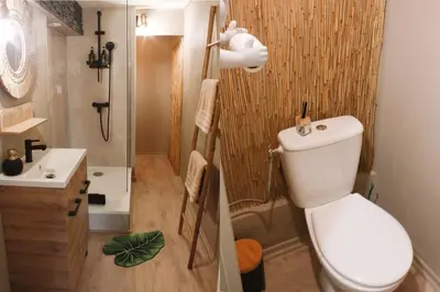 Salle de bains dans l'établissement Appartement Jungle Cosy - Bureau & Fibre - 10min du Futuroscope