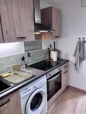 Cuisine ou kitchenette dans l'établissement Le Cocon Vert