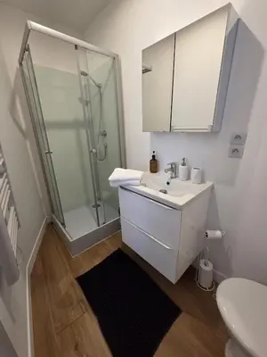Salle de bains dans l'établissement Le Timon - large studio avec Wi-Fi