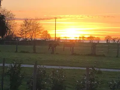 Lever ou coucher de soleil vu de la maison de vacances ou à proximité
