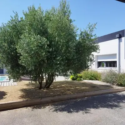Villa de l'Olivier