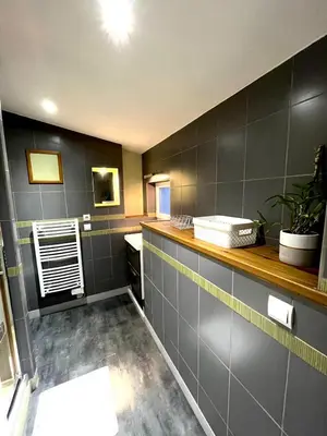 Cuisine ou kitchenette dans l'établissement Le cosy duplex de l'Isle d'Espagnac