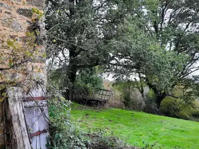 Jardin de l'établissement Chez Rambaud