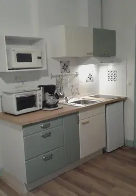 Cuisine ou kitchenette dans l'établissement appartement Zéphyr
