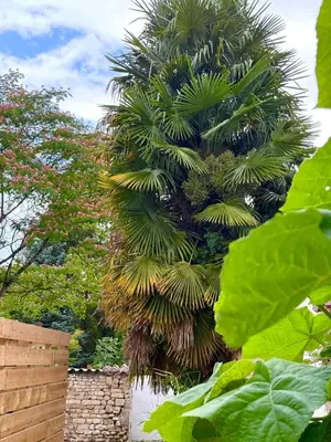 Jardin de l'établissement La Cachette