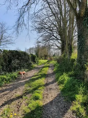 Jardin de l'établissement Gite du Petit Marchais