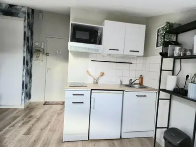 Cuisine ou kitchenette dans l'établissement L'Aquarelle studio - Bord du Clain, Calme, Netflix