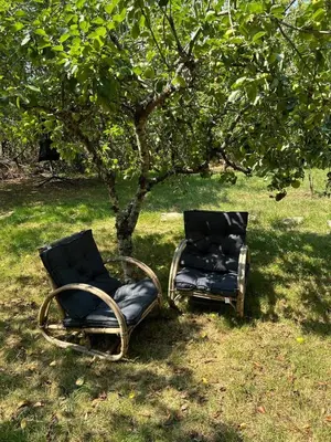 Jardin de l'établissement Le Fleur Sauvage