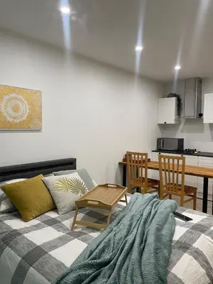 Cuisine ou kitchenette dans l'établissement Studio