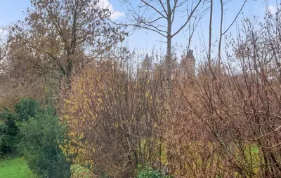 Jardin de l'établissement Charmante Maison