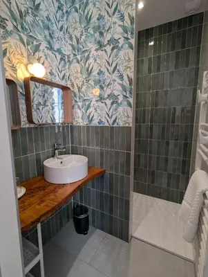 Salle de bains dans l'établissement Le BRISSONNEAU