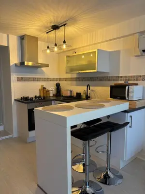 Cuisine ou kitchenette dans l'établissement Maison proche centre-ville et Futuroscope