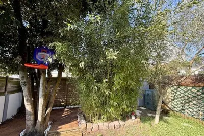 Jardin de l'établissement Maison idéalement située à La Rochelle