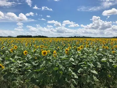 Paysage naturel près de la maison de vacances
