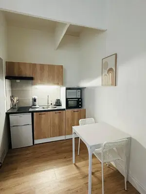 Cuisine ou kitchenette dans l'établissement Hyper Centre Appartement Wifi