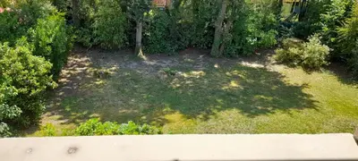 Jardin de l'établissement Spacious House Close to Schools and University Hospital