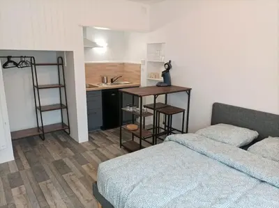 Cuisine ou kitchenette dans l'établissement Super studio à Poitiers