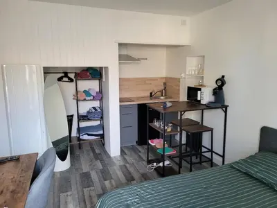 Cuisine ou kitchenette dans l'établissement Super studio à Poitiers