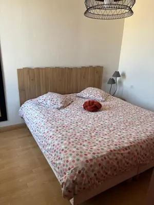 Un ou plusieurs lits dans un hébergement de l'établissement Petite maison de ville quartier théâtre et Jardin Public