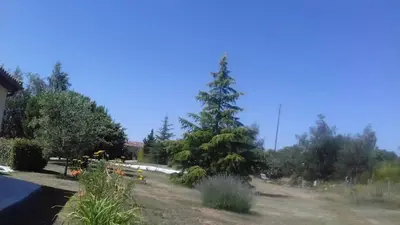 Paysage naturel près de la maison de vacances
