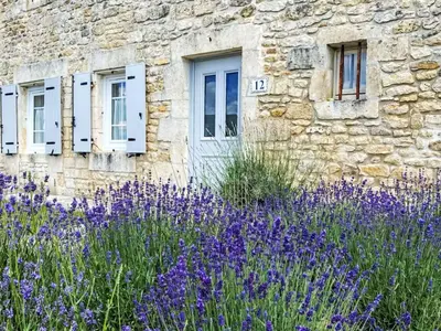 Jardin de l'établissement Holiday Home Ile d'Oléron by Interhome