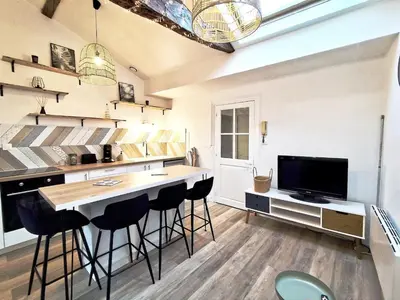 Télévision ou salle de divertissement dans l'établissement La Chaume, jolie appartement à Poitiers